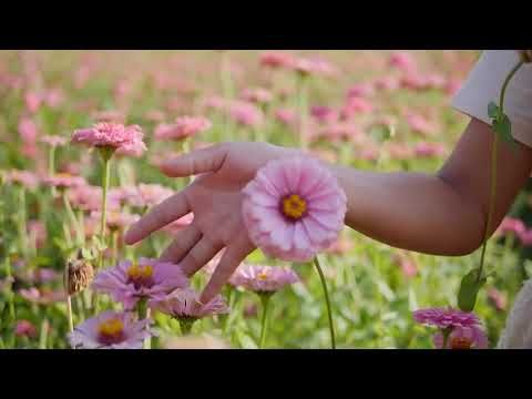 Kho báu đời ta