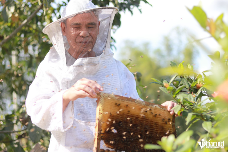 Nghị lực phi thường của người đàn ông mù loà nuôi ong giữa núi rừng Hà Tĩnh Nghị lực phi thường của người đàn ông mù loà nuôi ong giữa núi rừng Hà Tĩnh