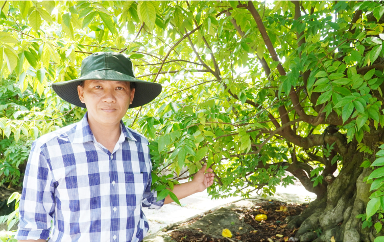 'Bí mật' sau vườn kiểng bonsai bạc tỷ của người đàn ông ở Cần Thơ