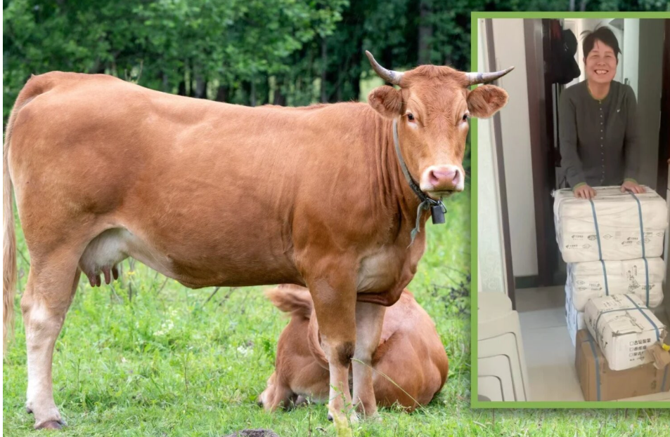 Cô gái đi làm xa bị ốm, xúc động nhận kiện hàng đặc biệt từ quê nhà Cô gái đi làm xa bị ốm, xúc động nhận kiện hàng đặc biệt từ quê nhà